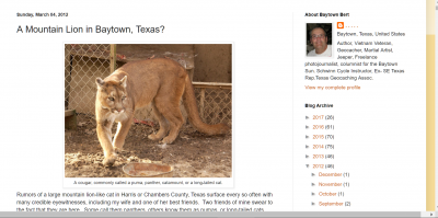 mountain lion baytown.png